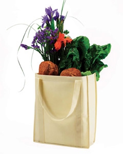 econscious EC8075 Non-Woven Grocery Tote