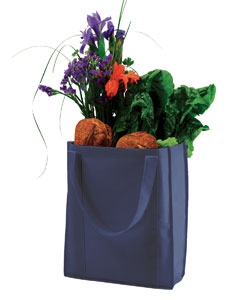 econscious EC8075 Non-Woven Grocery Tote