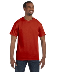 Hanes 5250T 6.1 oz. Tagless&#174; T-Shirt
