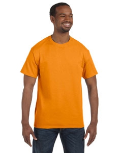 Hanes 5250T 6.1 oz. Tagless&#174; T-Shirt